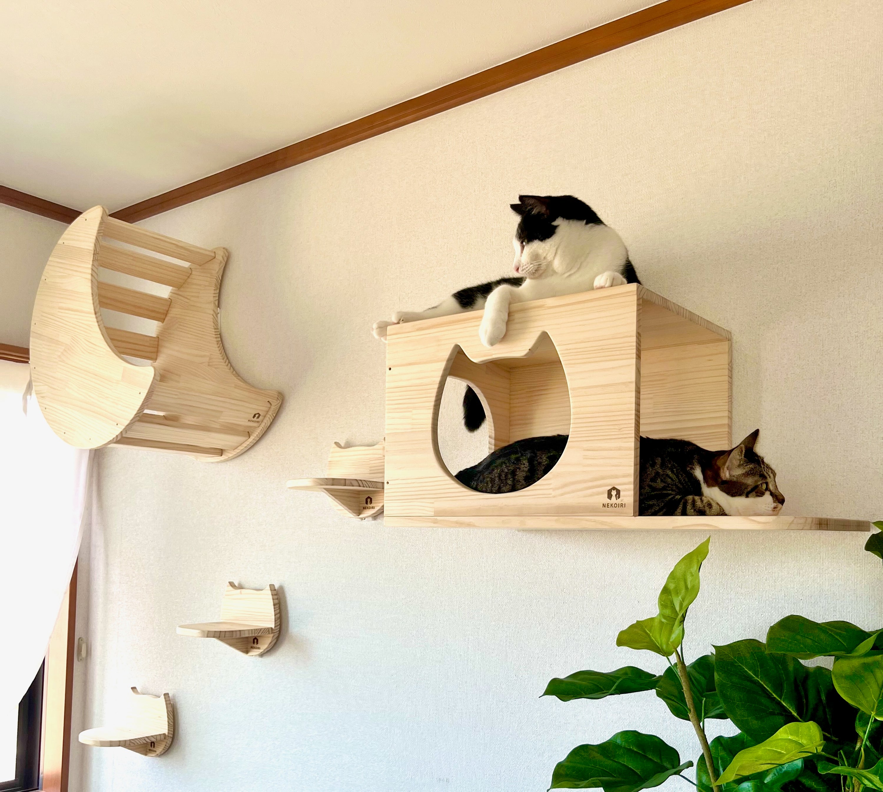 眺めの良い場所で3匹の猫が快適にくつろぐためのレイアウト