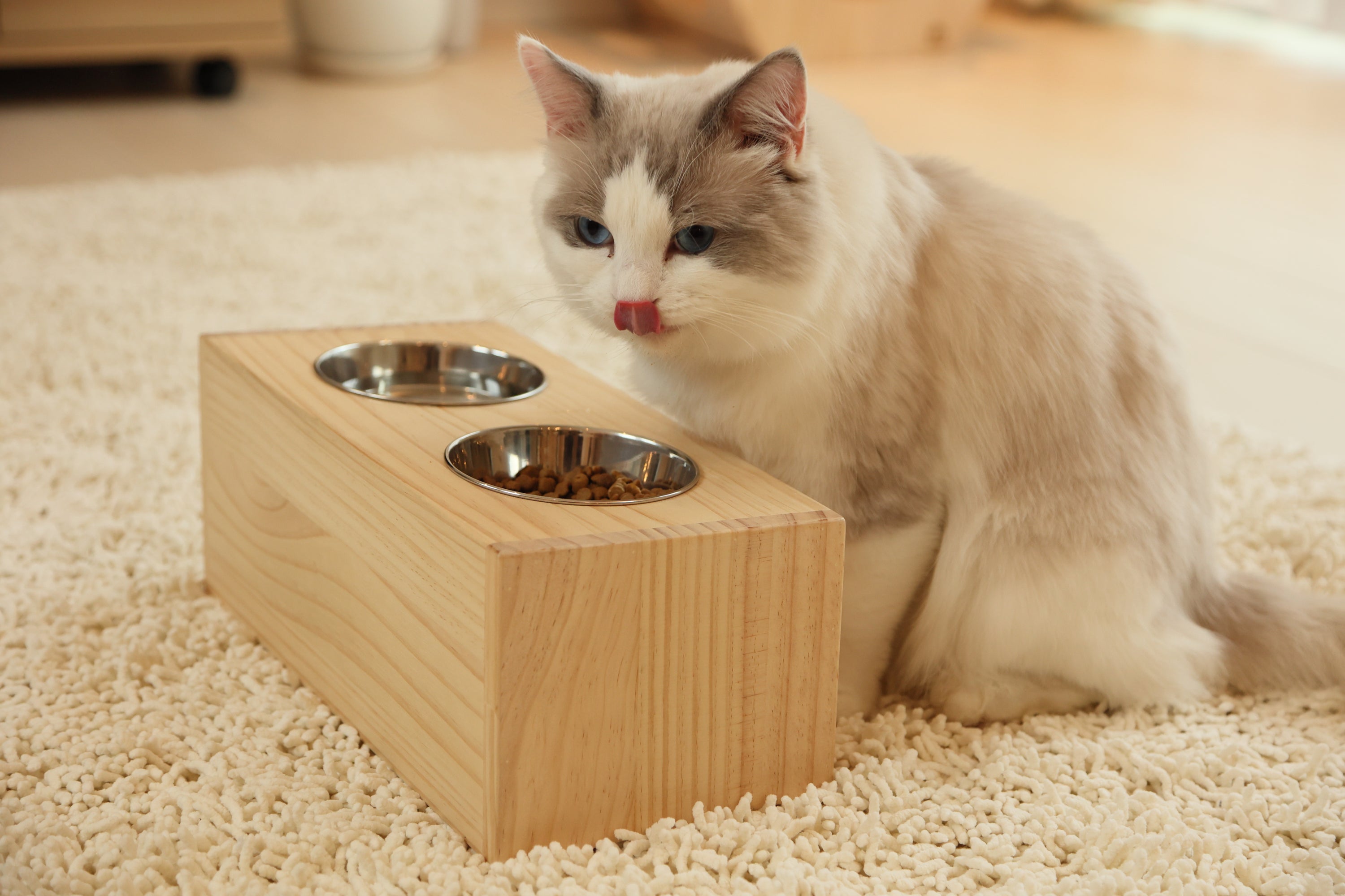 猫の食器理想の高さは?