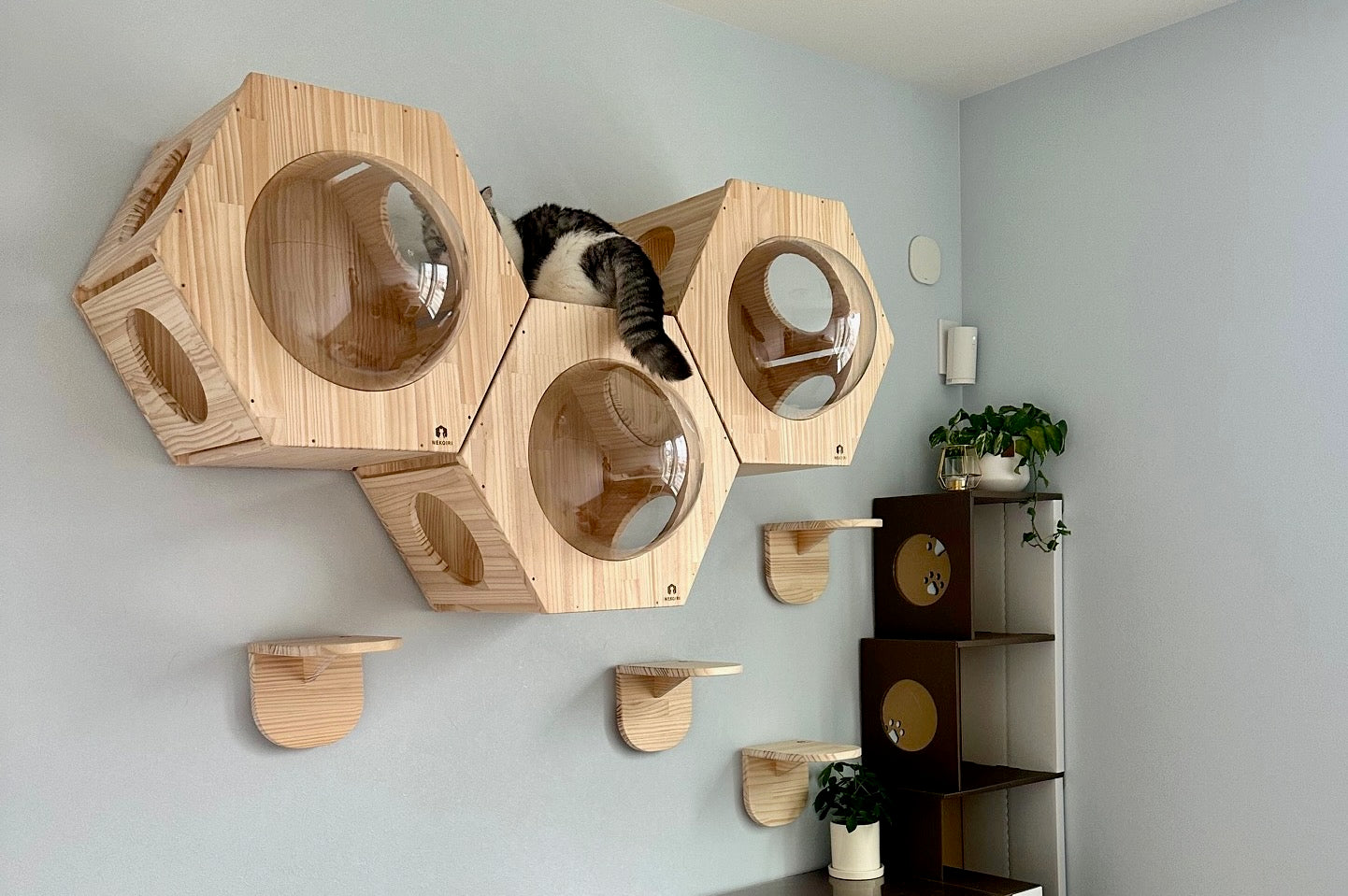 短足猫でも自由自在に移動できるHexaメインのレイアウト