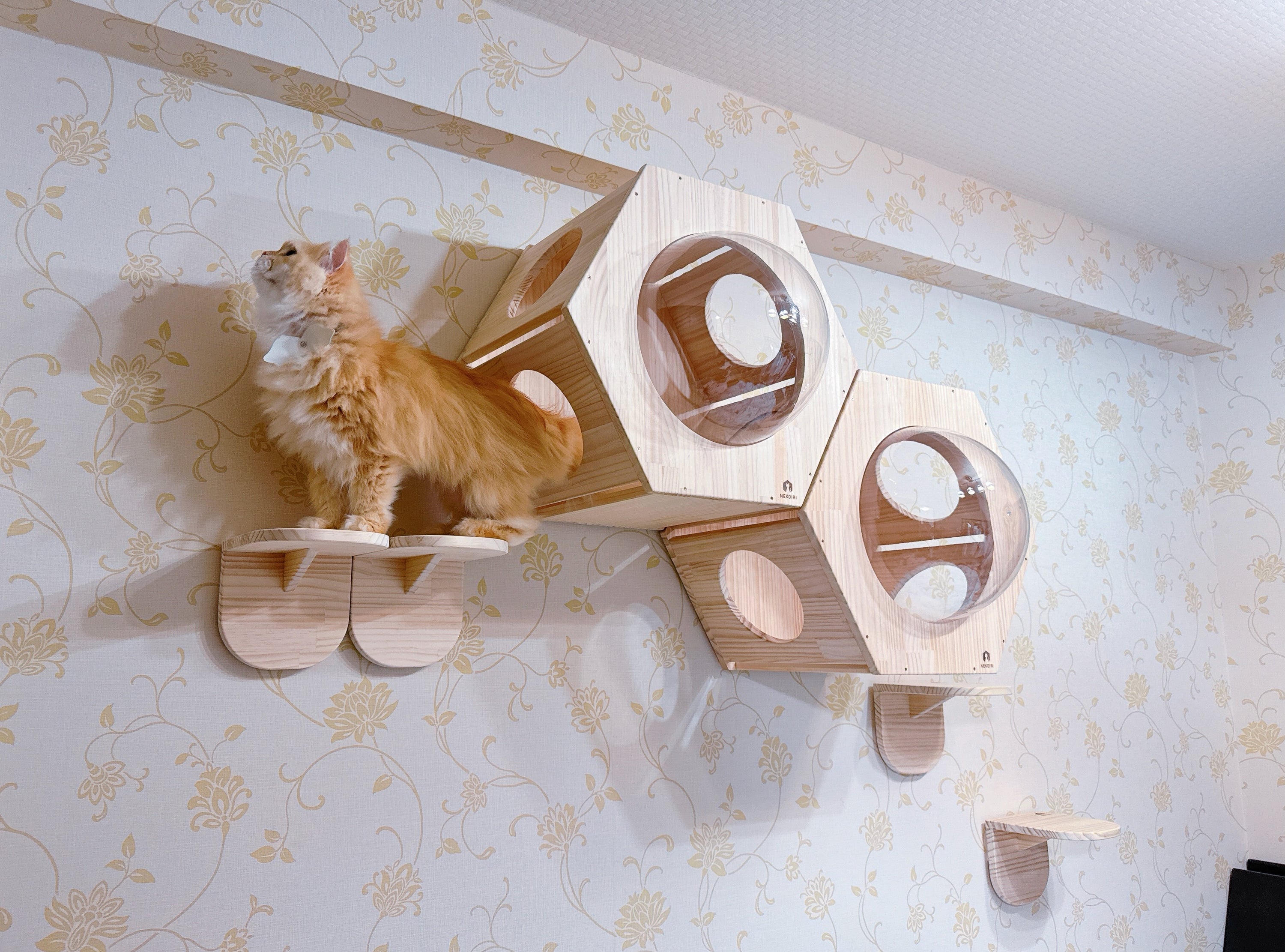 愛猫と一緒に寝るための寝室のHexaレイアウト