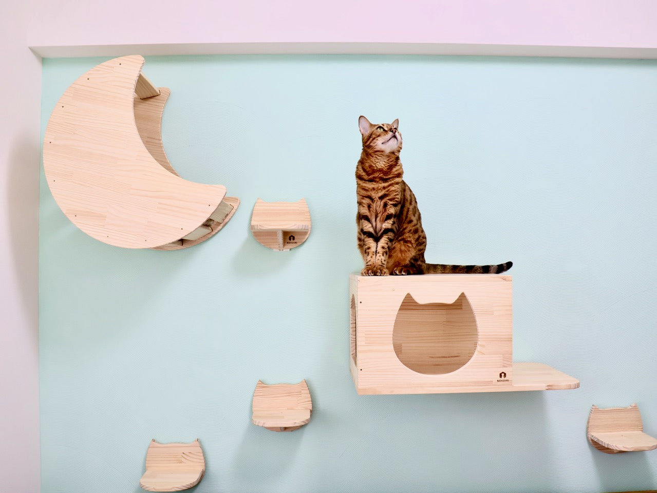 運動オンチな猫ちゃんでも永く安全に移動できるレイアウト