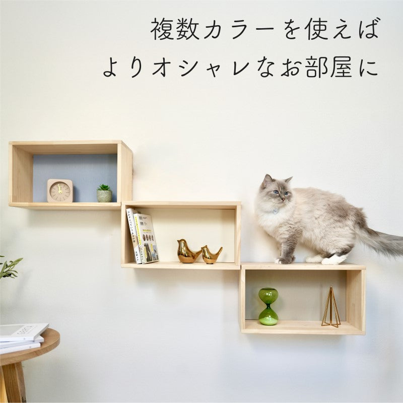 【ステップ シェルフ】