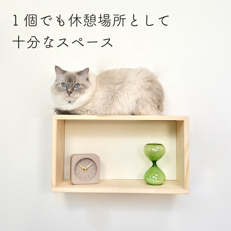 【ステップ シェルフ】