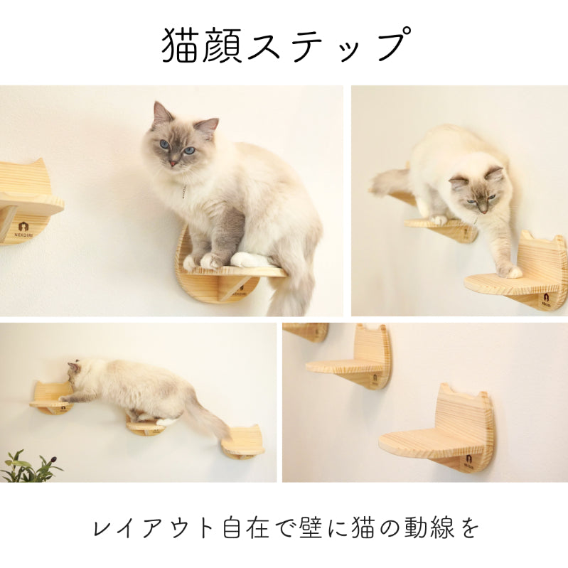 Catre カトレ 【猫顔ステップ】
