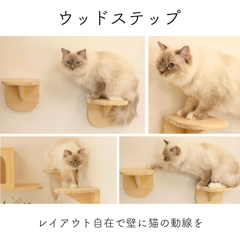 Latre ラトレ 【ステップ】