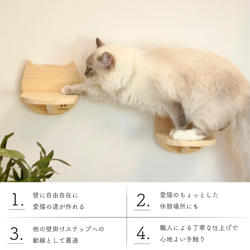 Catre カトレ 【猫顔ステップ】