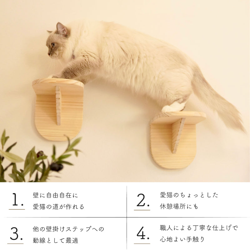 Latre ラトレ 【ステップ】