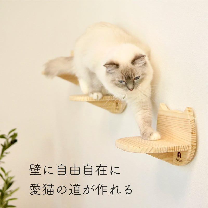 Catre カトレ 【猫顔ステップ】