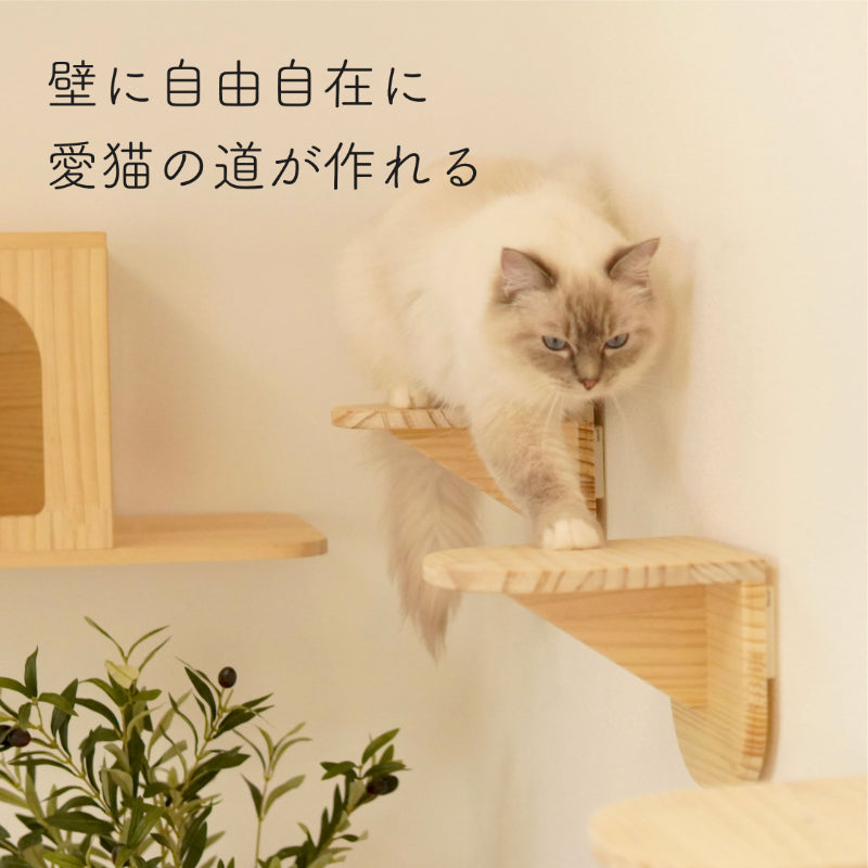 Latre ラトレ 【ステップ】