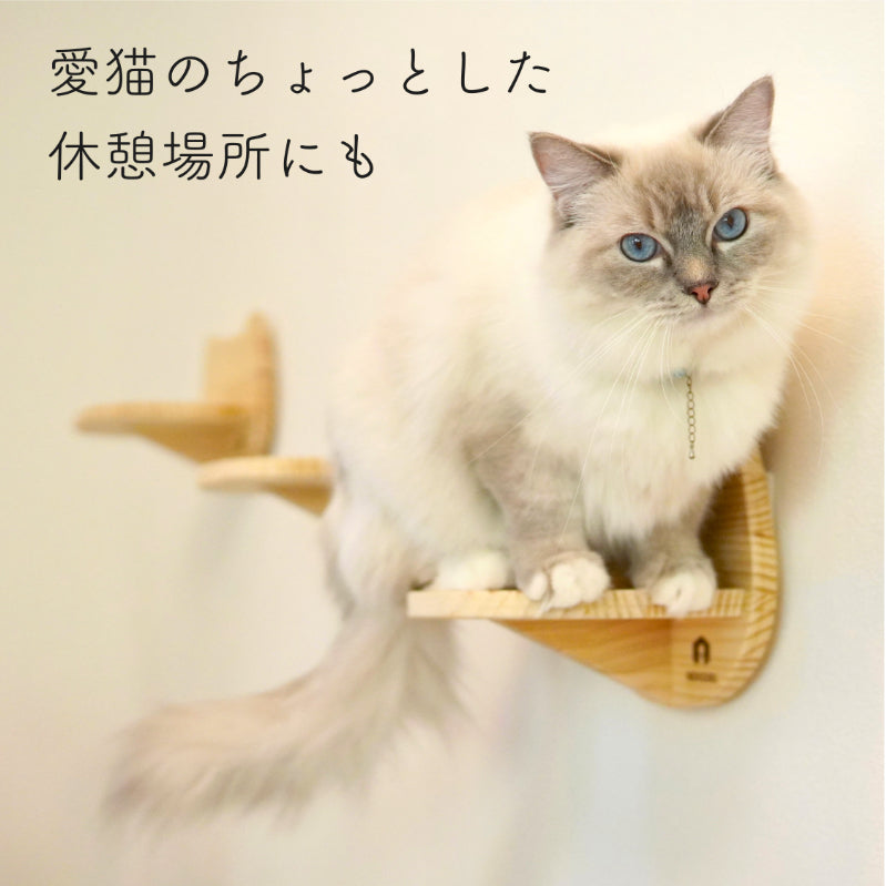 Catre カトレ 【猫顔ステップ】