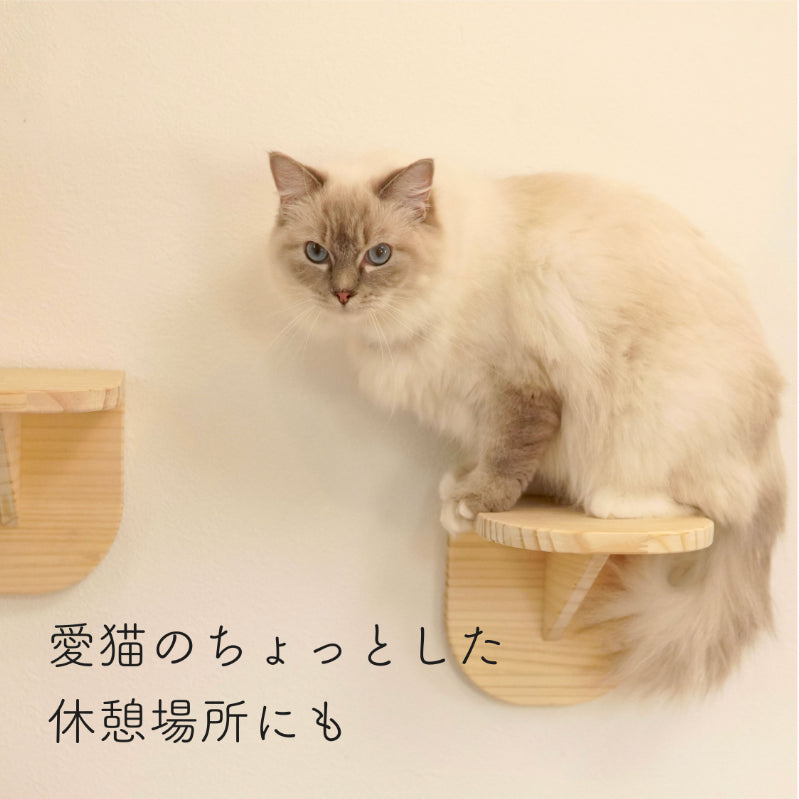 Latre ラトレ 【ステップ】