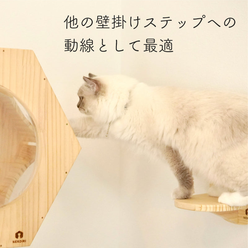 Catre カトレ 【猫顔ステップ】