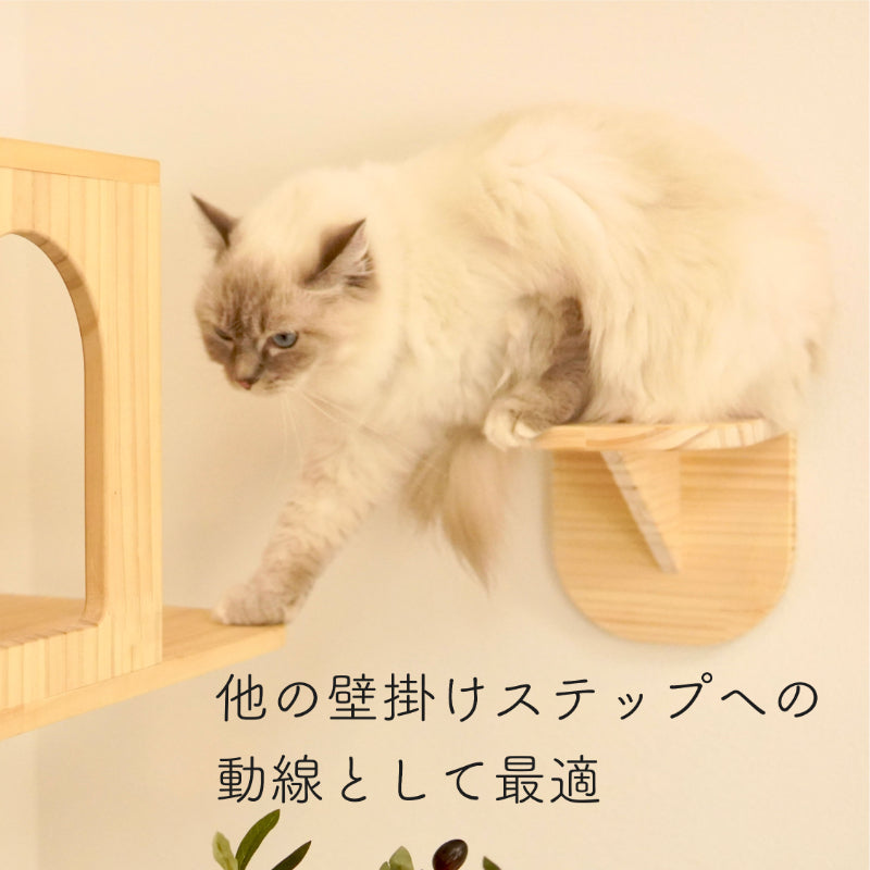 Latre ラトレ 【ステップ】