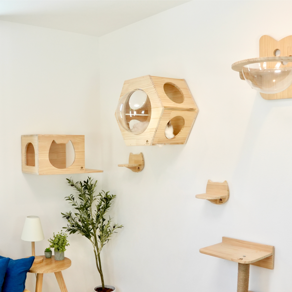 Hexa ヘキサ 【六角ハウス】