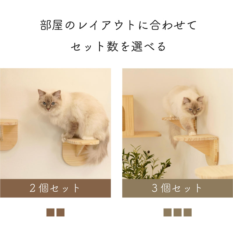 Latre ラトレ 【ステップ】