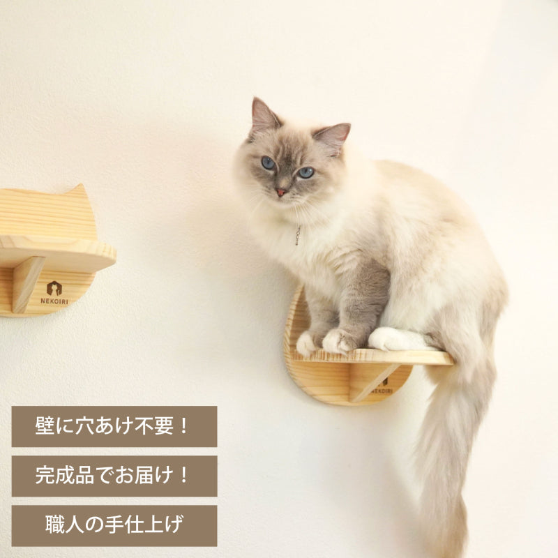 Catre カトレ 【猫顔ステップ】