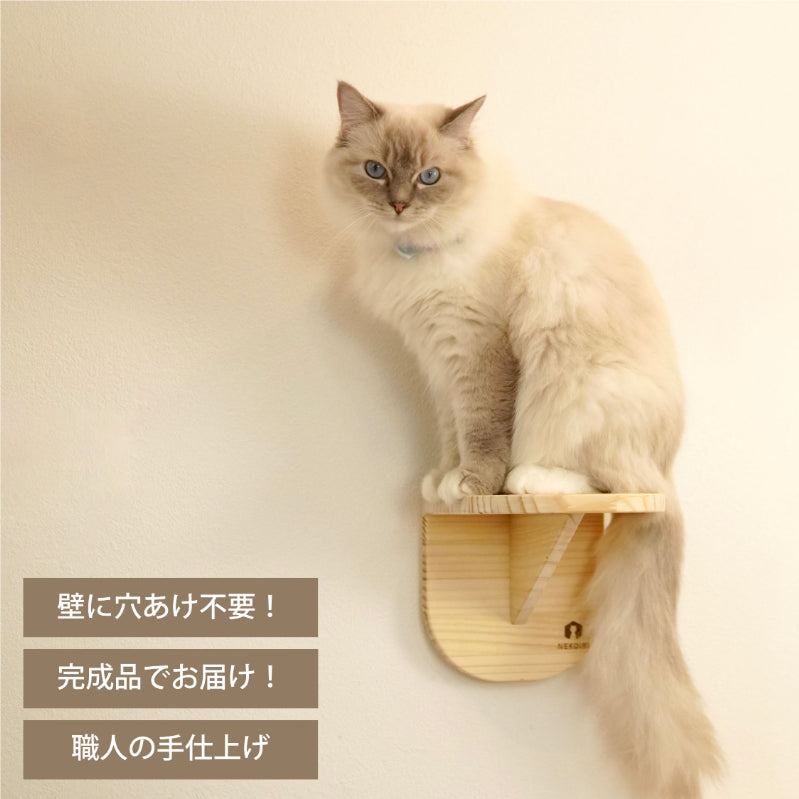 Latre ラトレ 【ステップ】