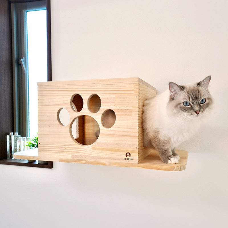 Cade カーデ 【トンネル】