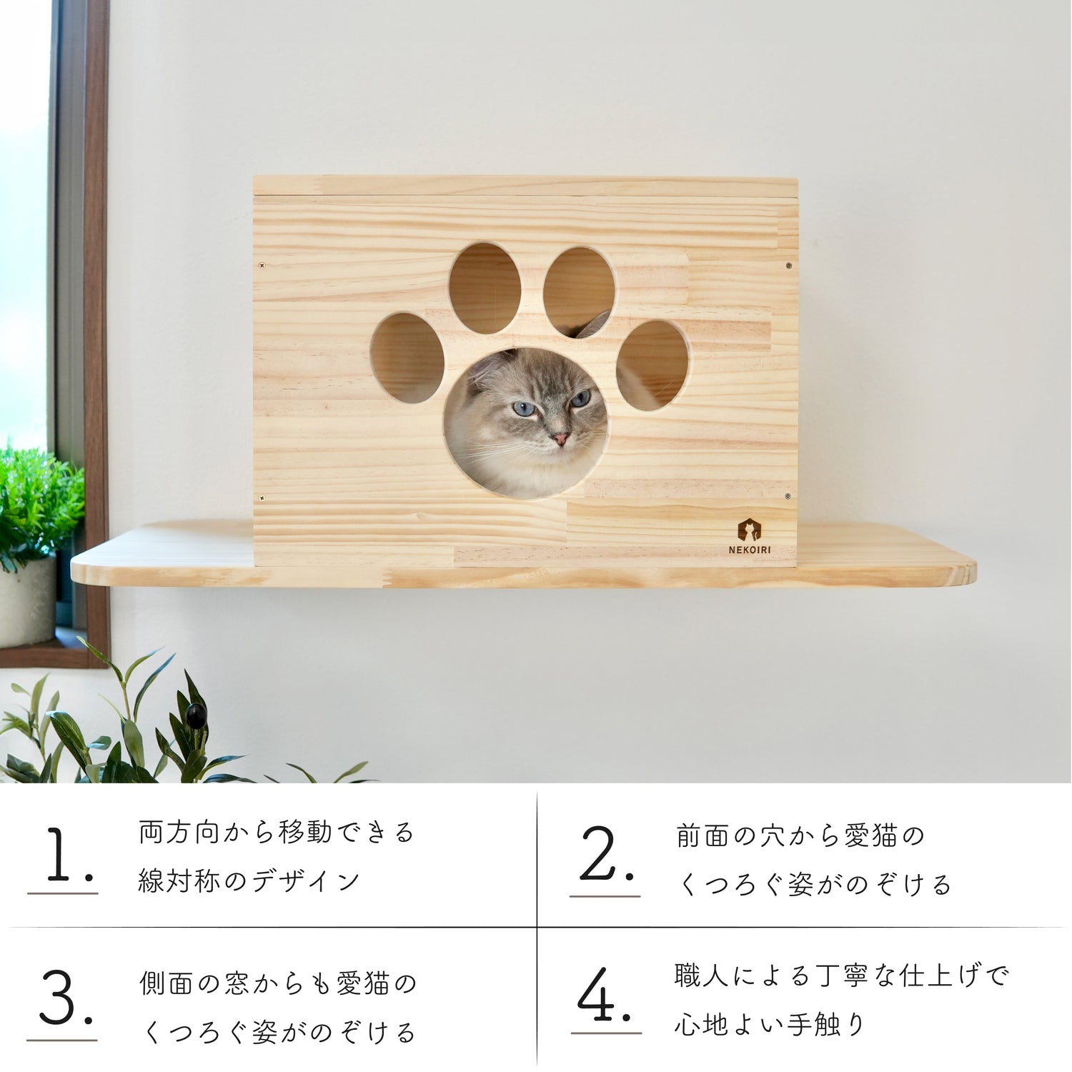 Cade カーデ 【トンネル】