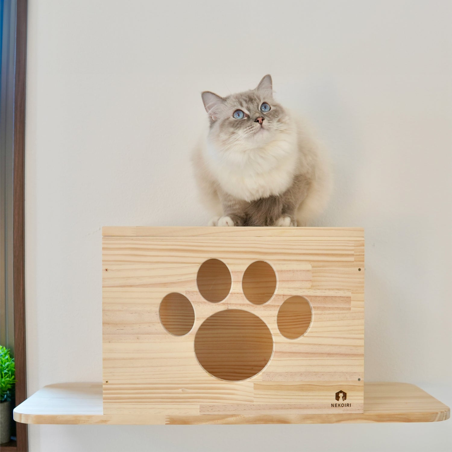 Cade カーデ 【トンネル】