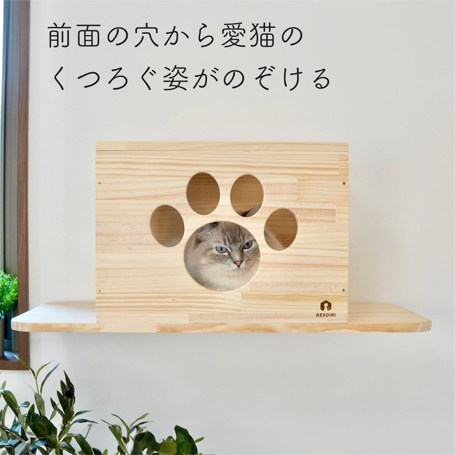 Cade カーデ 【トンネル】