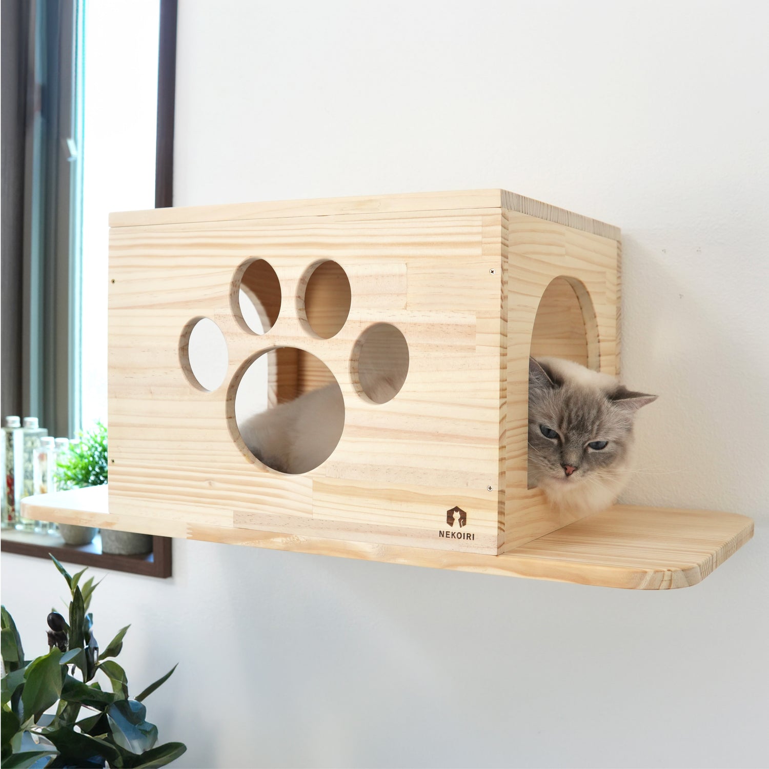 Cade カーデ 【トンネル】