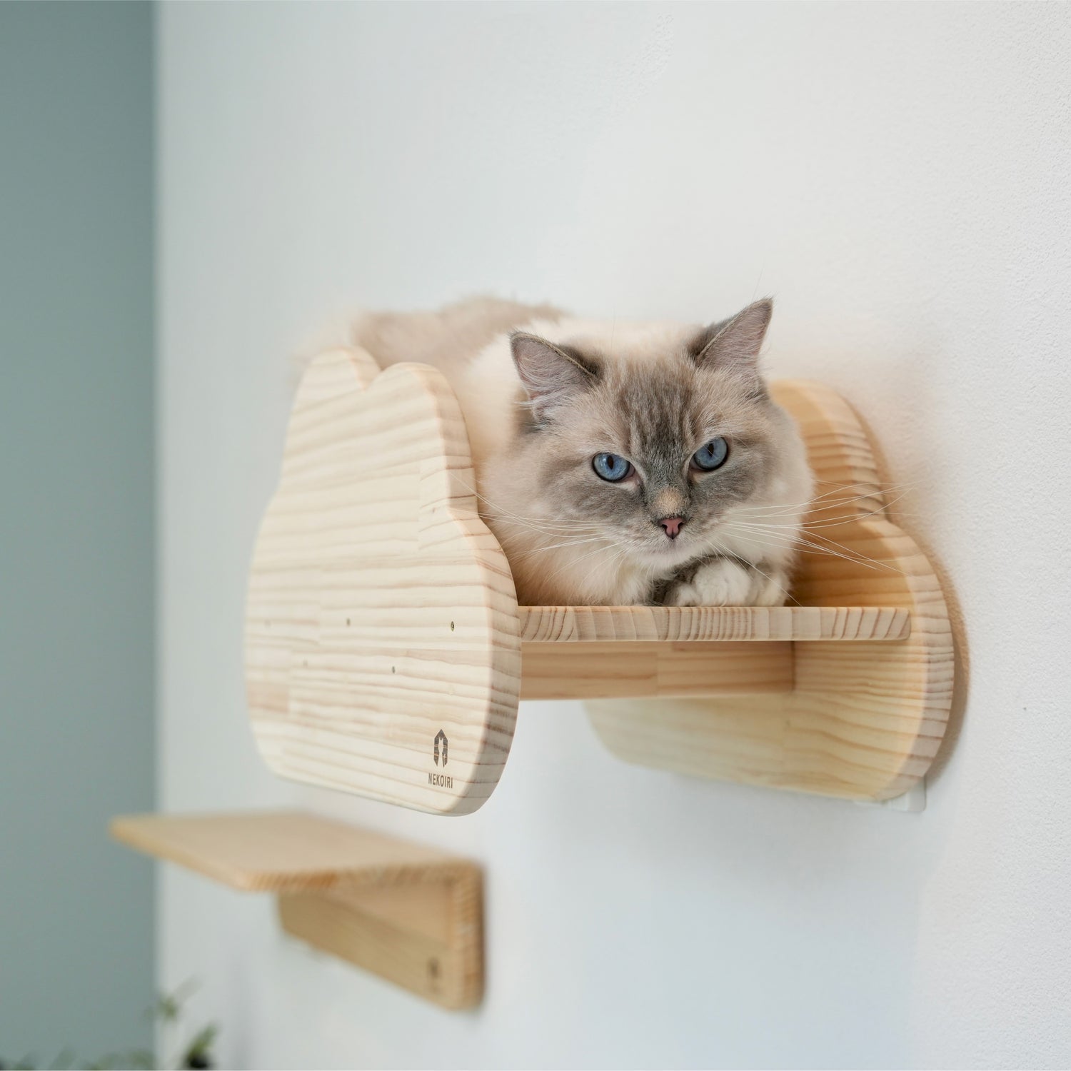 nuage ヌアージュ 【雲型ステップ】