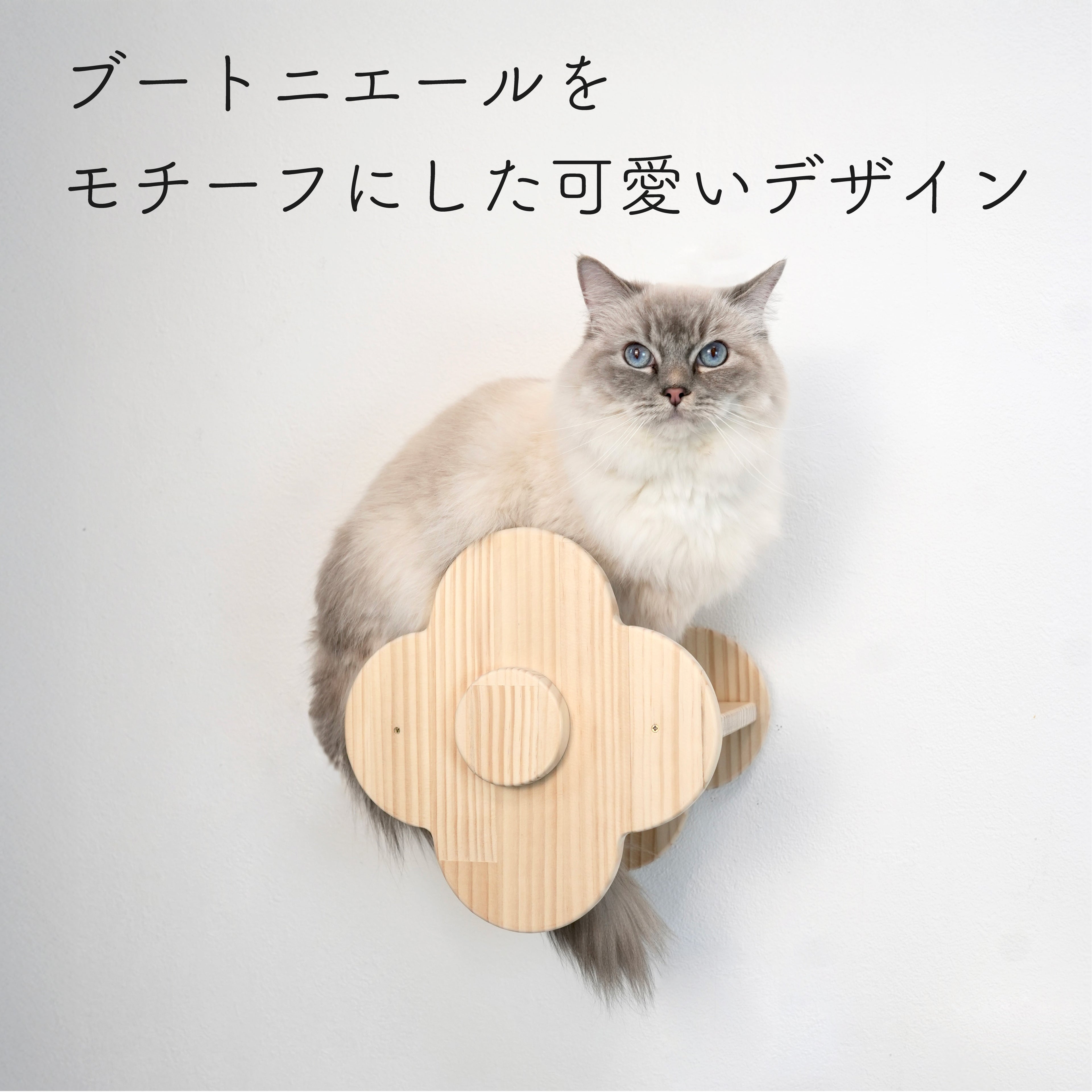 fleur フルール 【フラワーステップ】