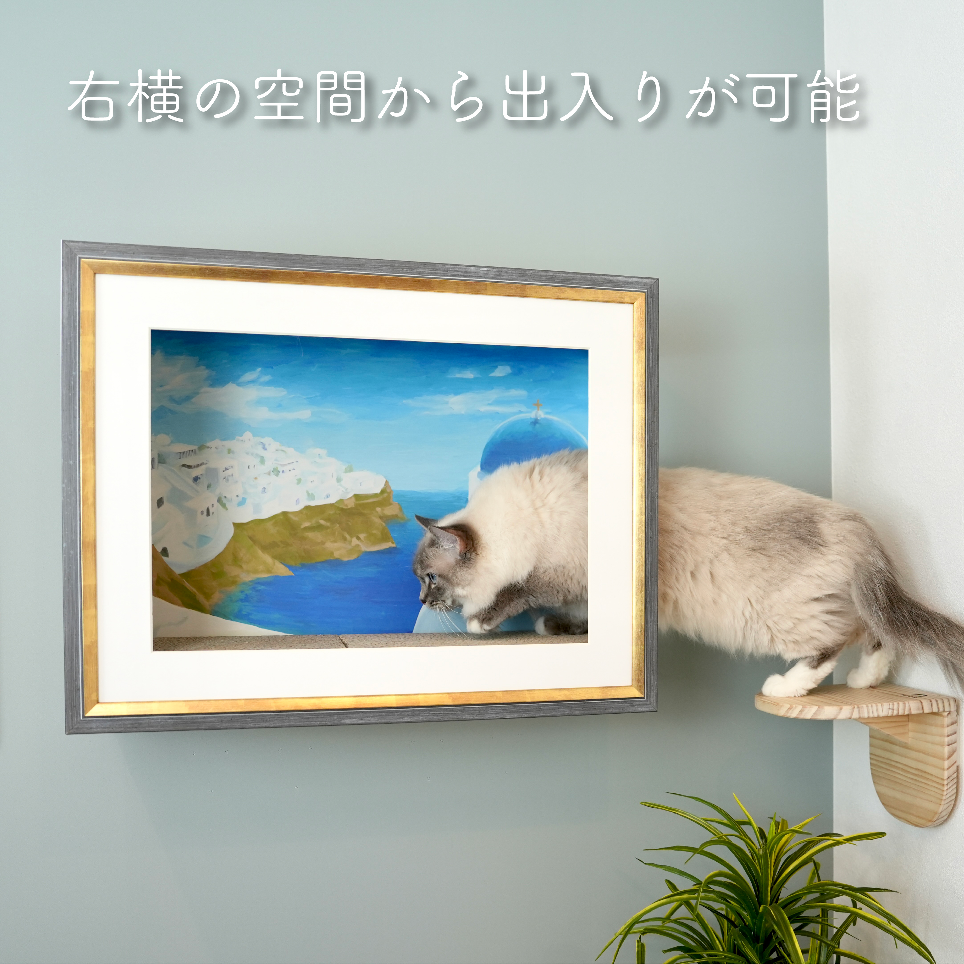 peinture(パンテュール)【絵画】