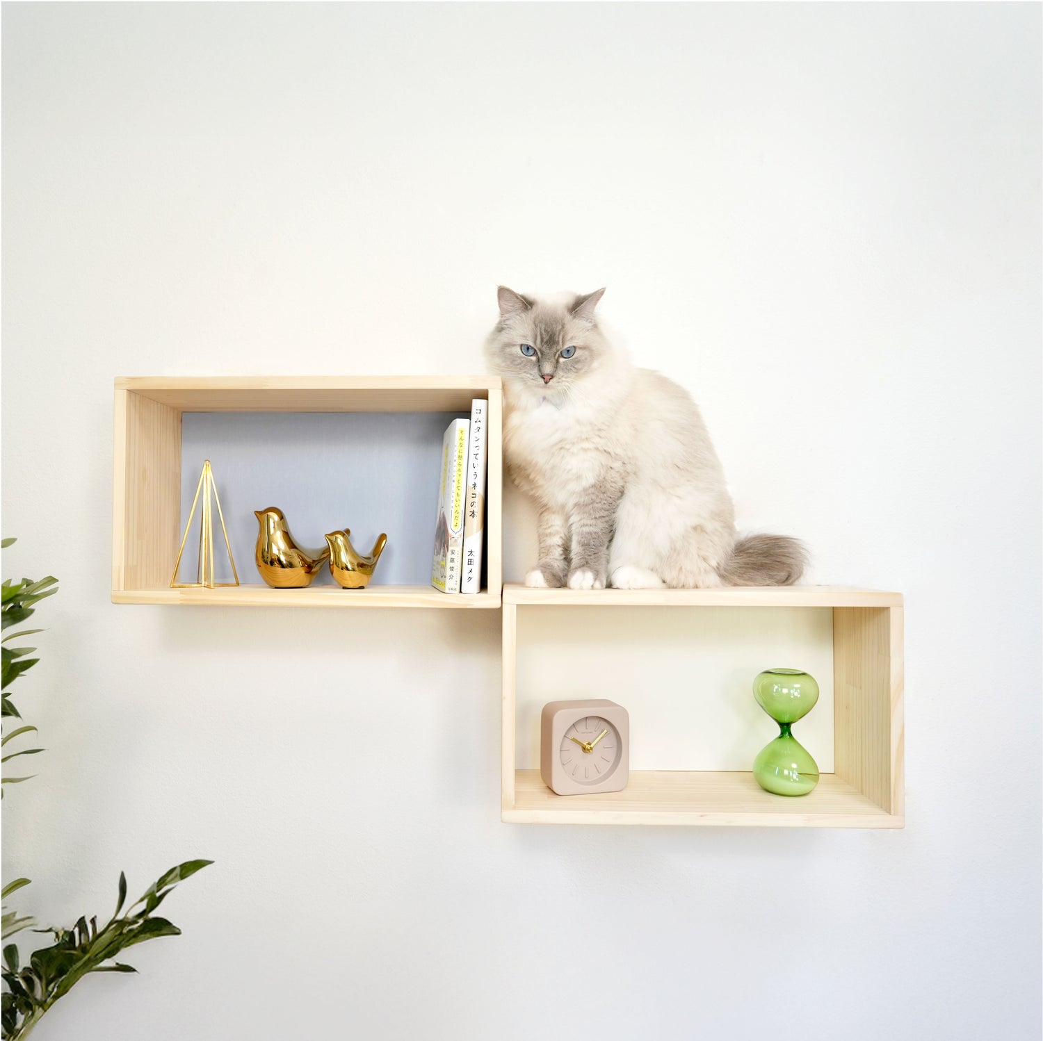 【ステップ シェルフ】