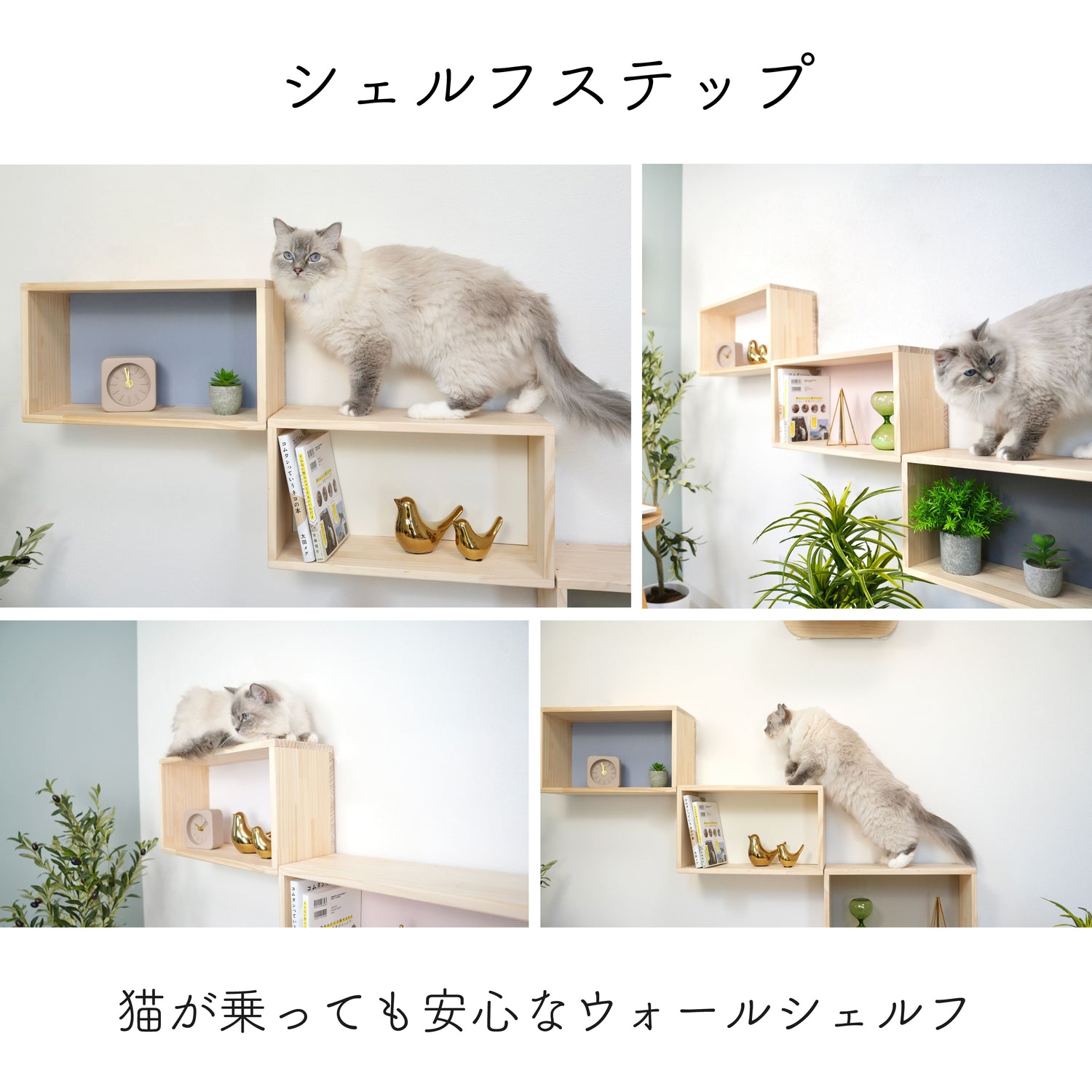 【ステップ シェルフ】