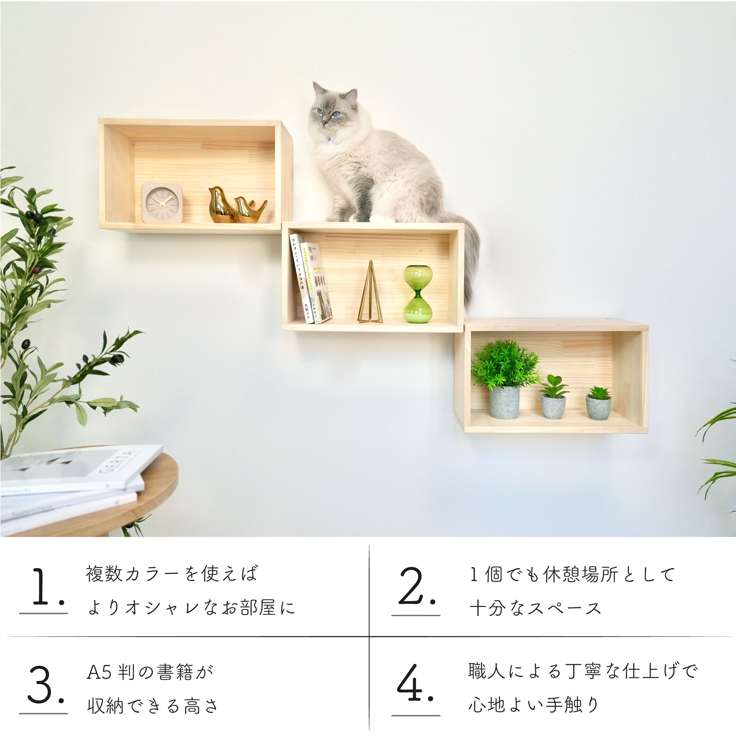 【ステップ シェルフ】