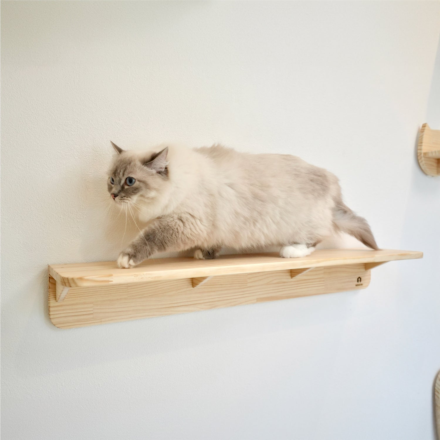 Mache Long マーチェ ロング 【キャットウォーク Lサイズ】