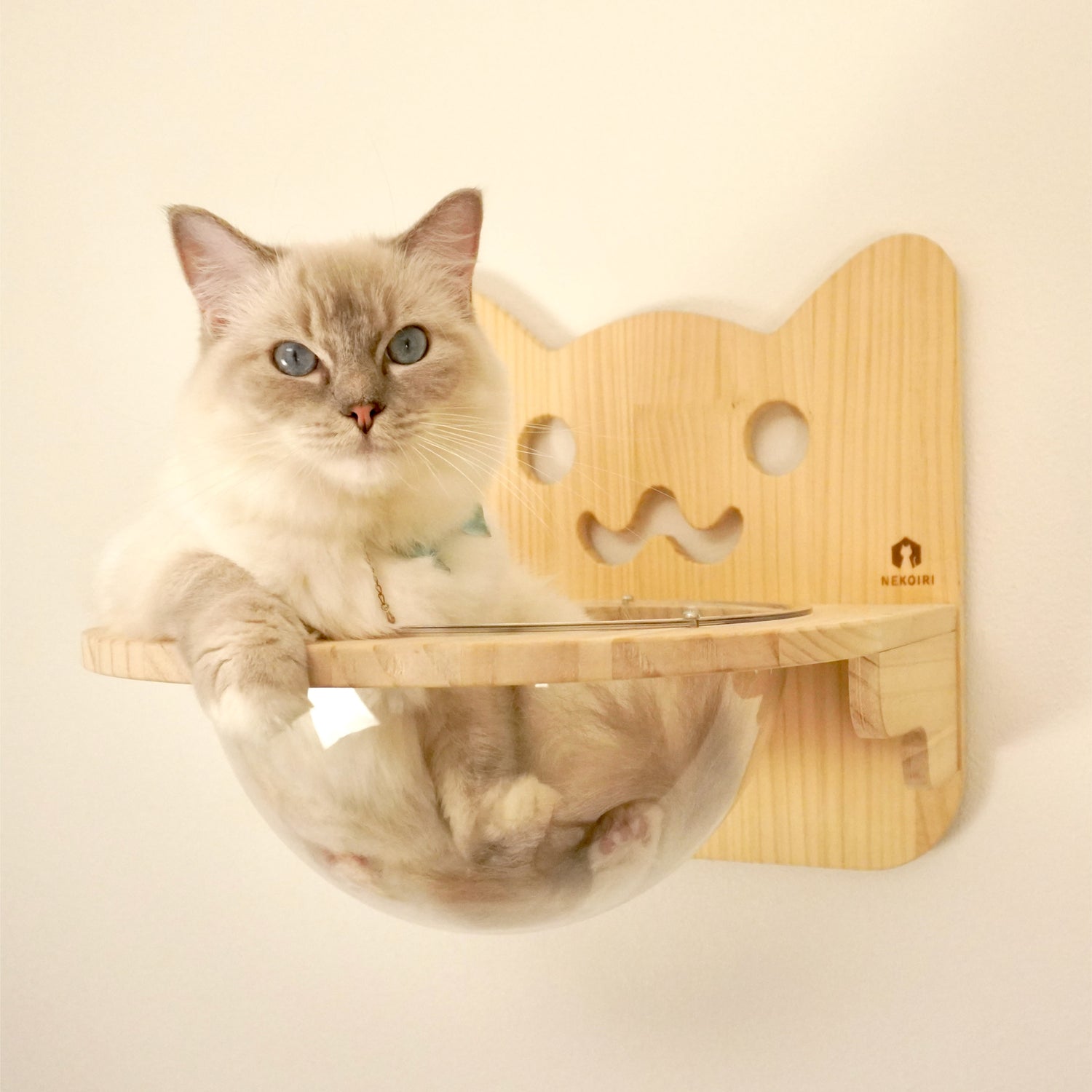 Cabo カーボ 【猫ボウル】