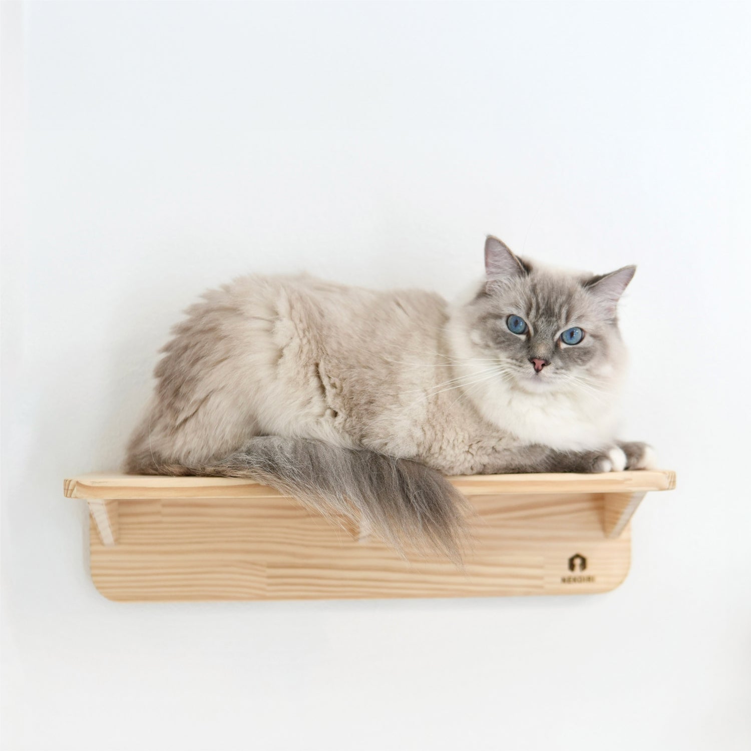 Mache Short マーチェ ショート 【キャットウォーク Sサイズ】