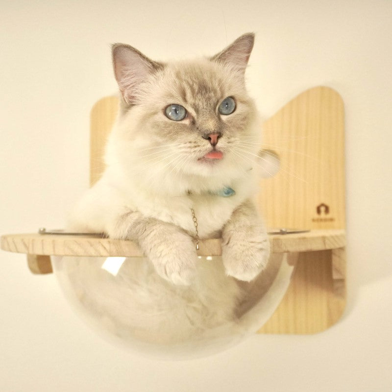 Cabo カーボ 【猫ボウル】