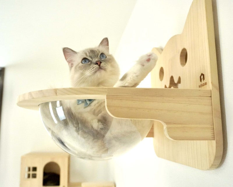 Cabo カーボ 【猫ボウル】