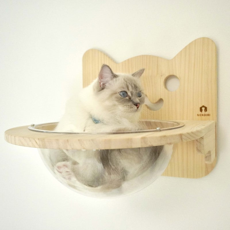 Cabo カーボ 【猫ボウル】