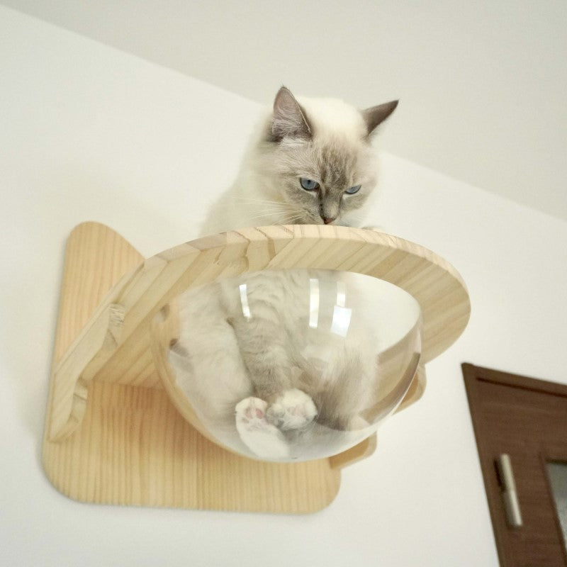 Cabo カーボ 【猫ボウル】