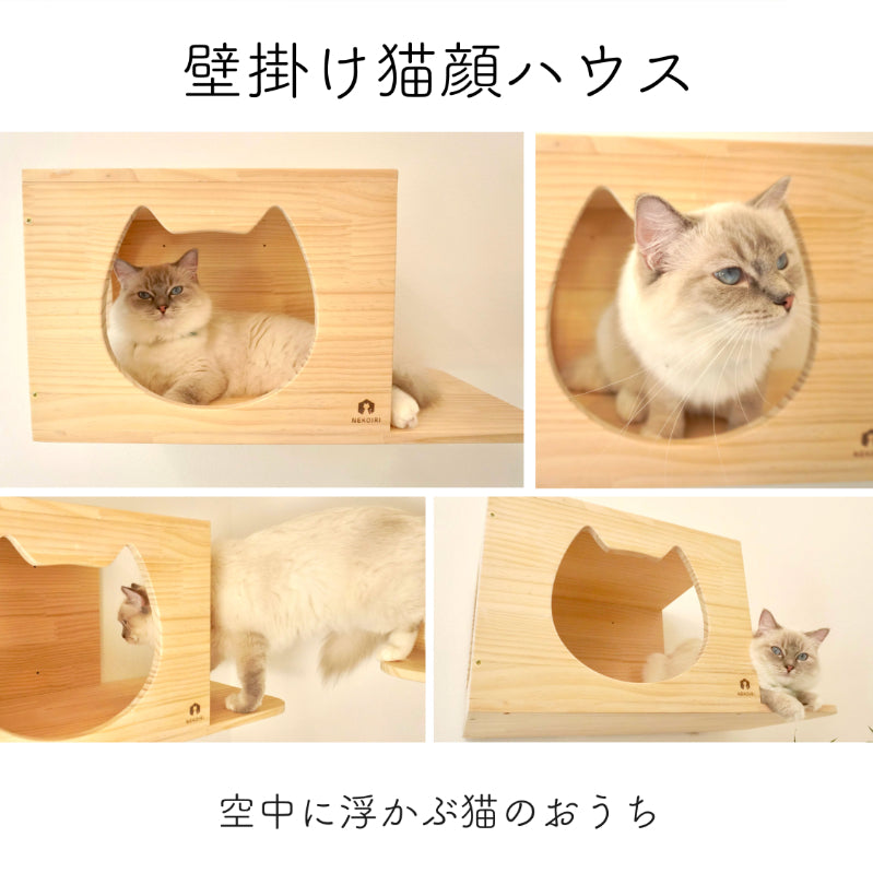 Cama カーマ 【猫顔ハウス】