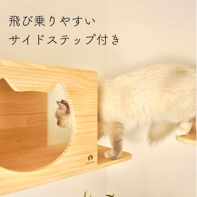 Cama カーマ 【猫顔ハウス】