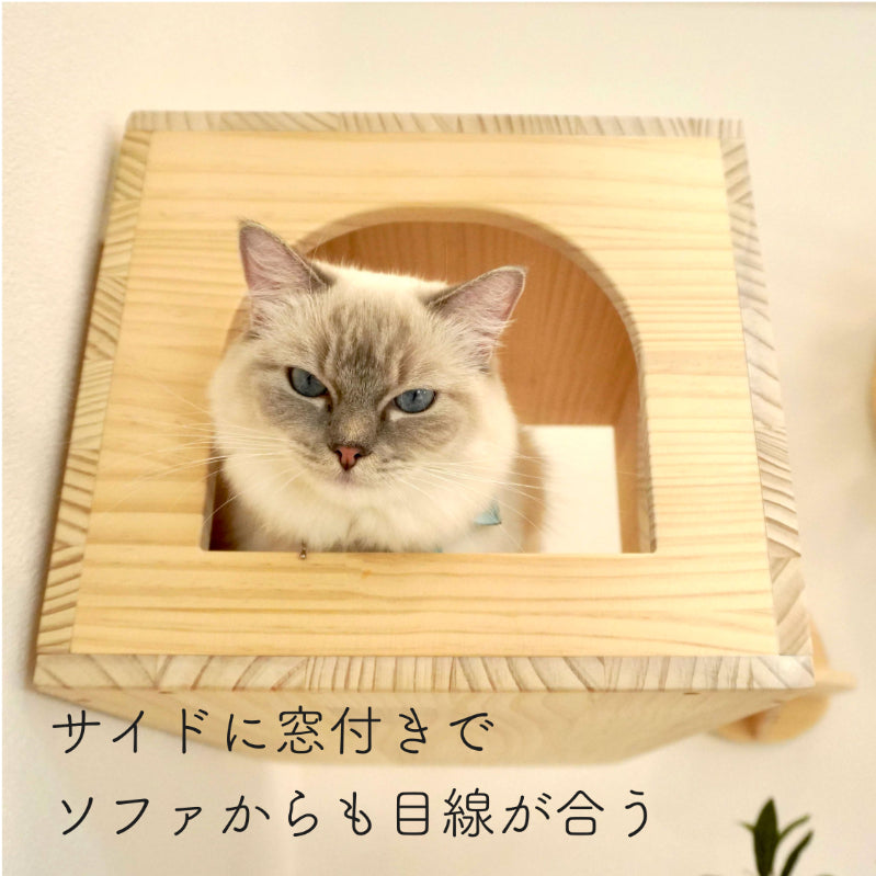 Cama カーマ 【猫顔ハウス】