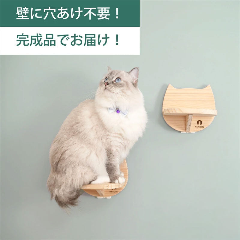 Catre カトレ 【猫顔ステップ】