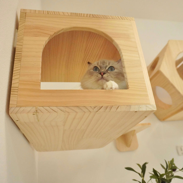 Lama ラーマ 【猫ハウス】