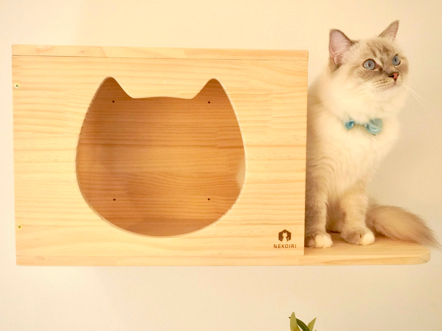 Cama カーマ 【猫顔ハウス】