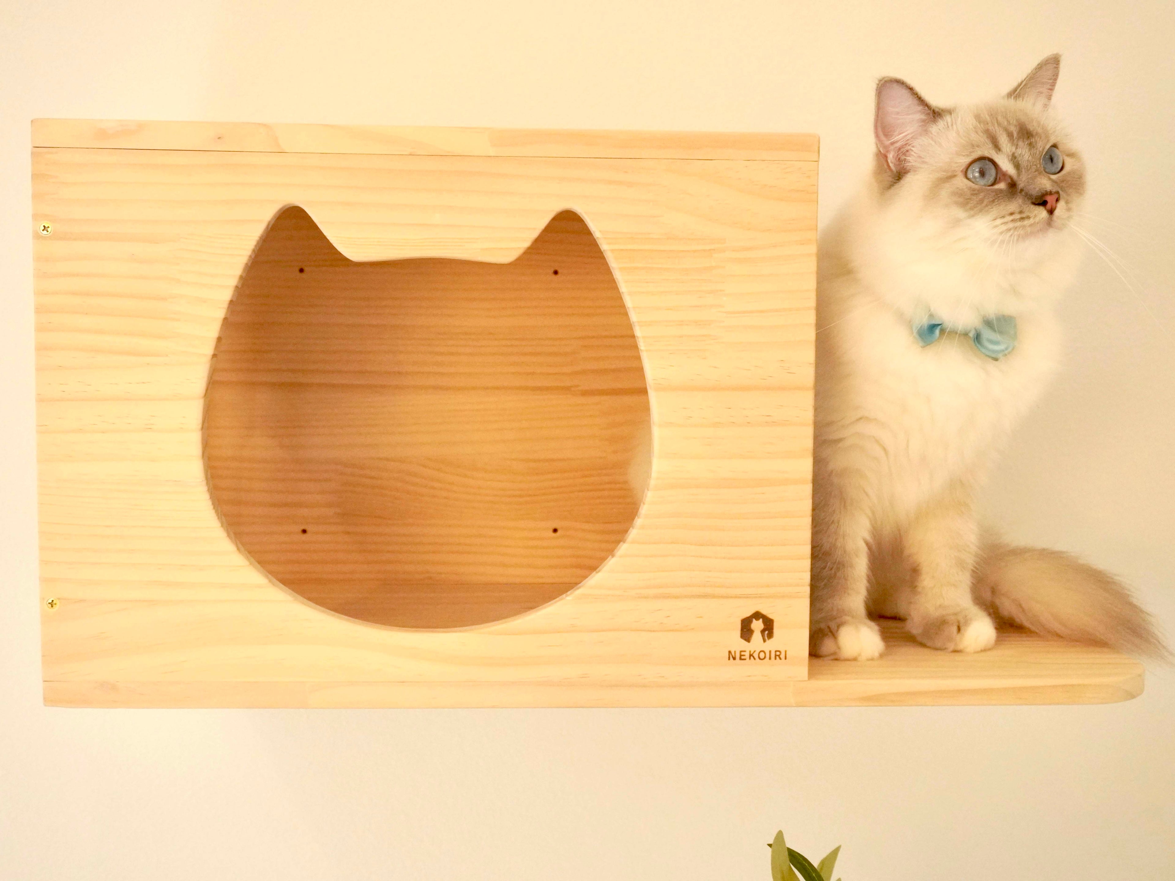 Cama カーマ 【猫顔ハウス】