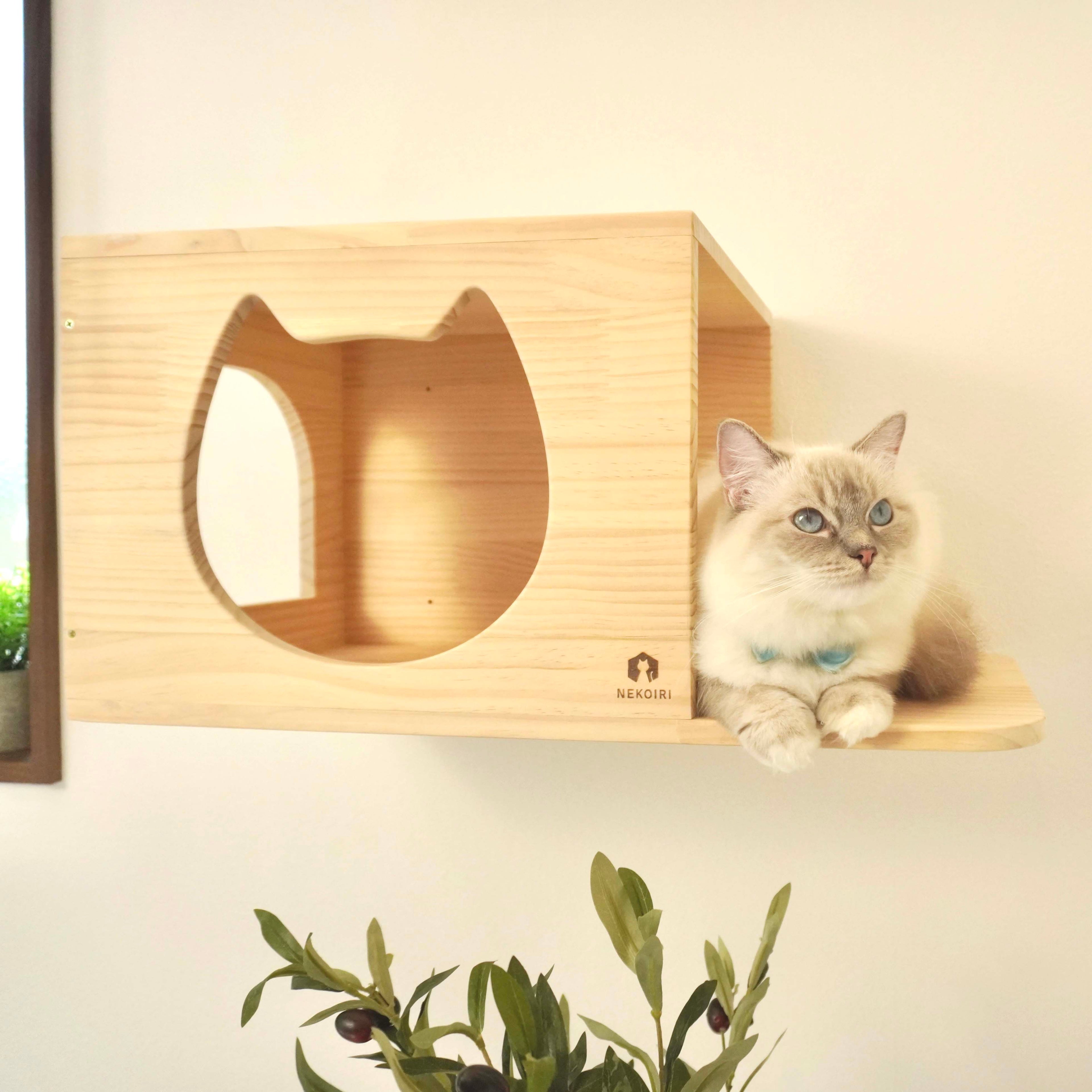 Cama カーマ 【猫顔ハウス】