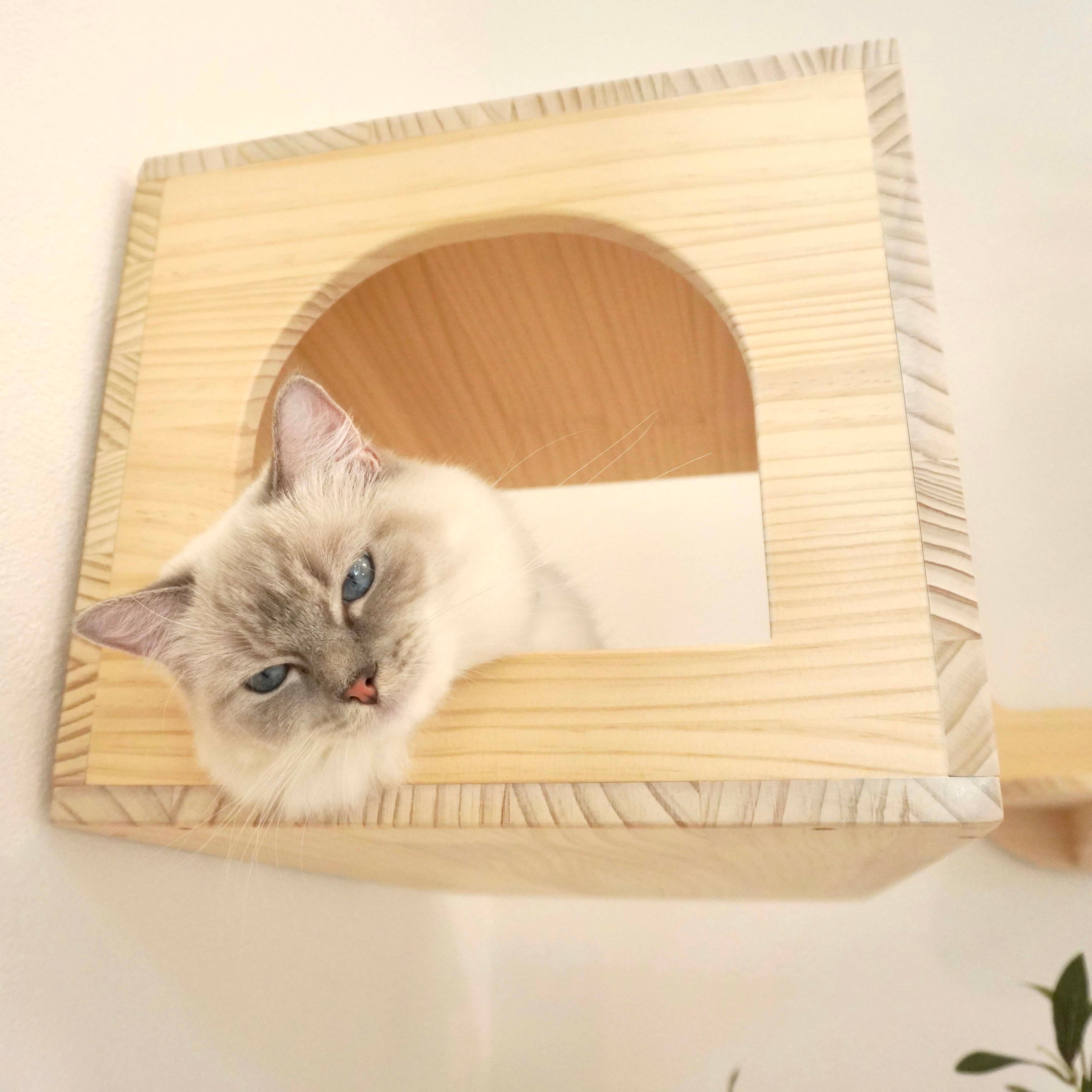 Cama カーマ 【猫顔ハウス】