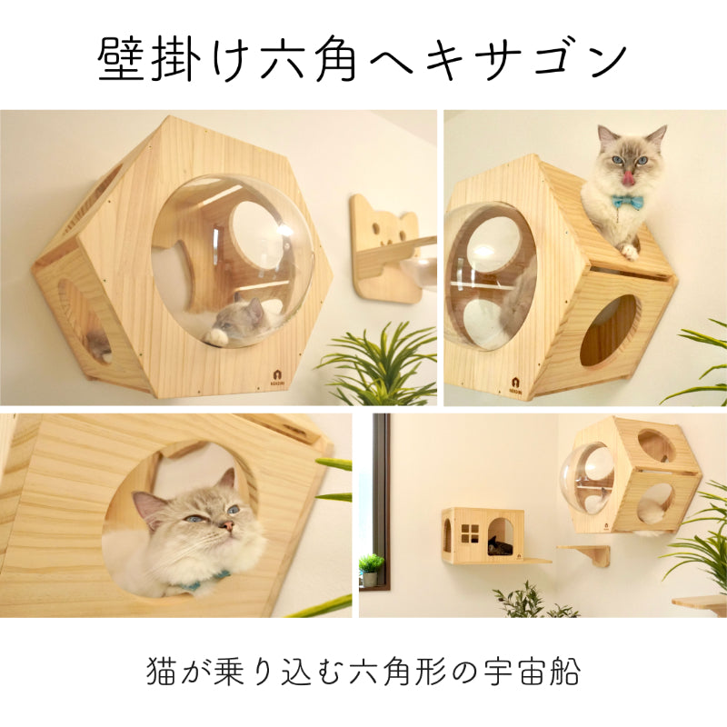 Hexa ヘキサ 【六角ハウス】