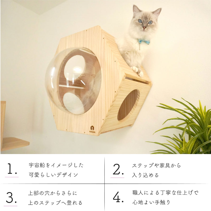 Hexa ヘキサ 【六角ハウス】